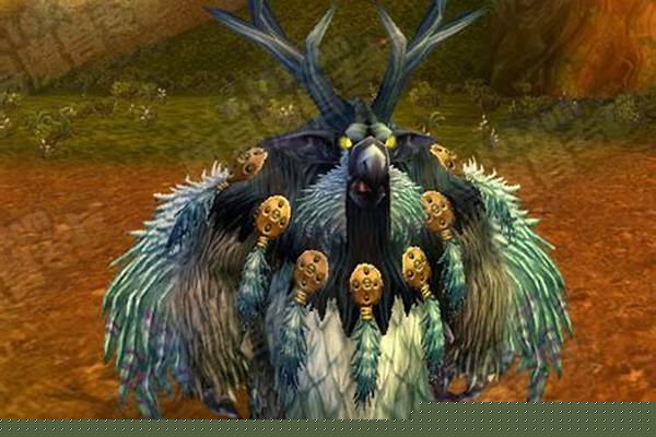 《wow联盟》德鲁伊选什么种族好