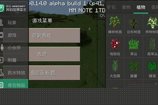 怎么进入多玩我的世界盒子