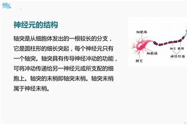 性冲动是怎样产生的