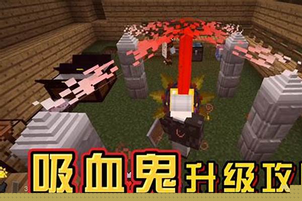 我的世界吸血鬼怎么升级里面放什么