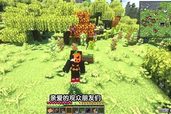 我的世界商店游戏币怎么卡负数_老师，我的应收账款本位币是负数是怎么回事