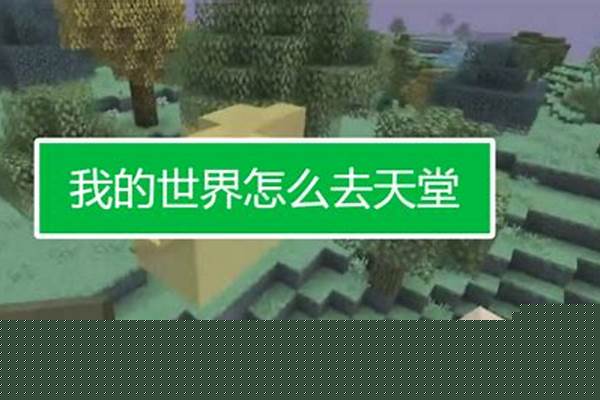 我的世界如何去暮色森林_我的世界119版本暮色森林怎么进