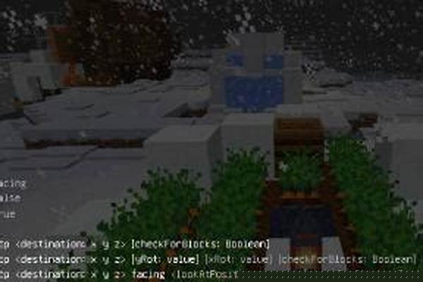 我的世界开启坐标指令_我的世界引导指令