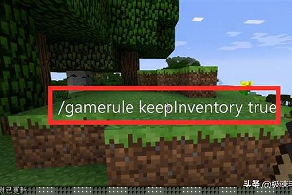 我的世界怎么永久开启坐标_mc全站仪使用方法