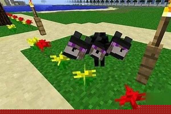 我的世界怎么生成动物_怎样制作生物细胞模型!（动物植物都行）用