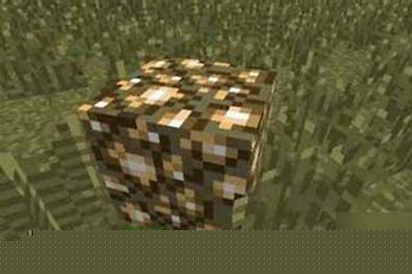 我的世界怎么生成森林_森林有哪些作用