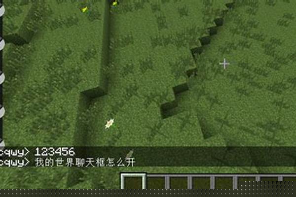我的世界怎么聊天_在我的世界中新手如何才能拥有聊天与命令
