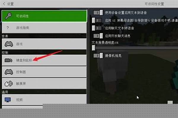 我的世界怎么设置电脑端进入_为什么《迷你世界》卡在开启页面进不去