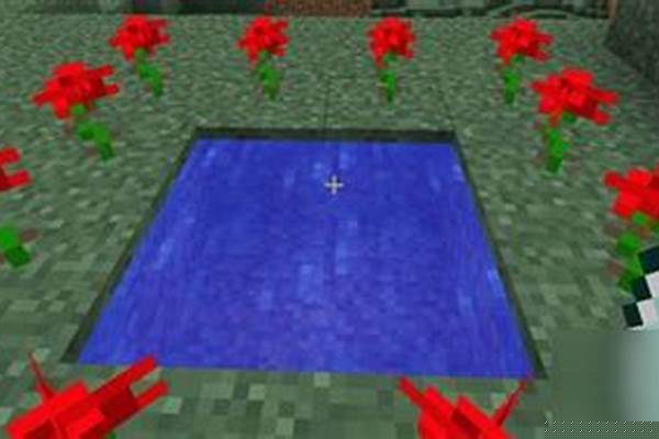 我的世界怎样去暮色森林