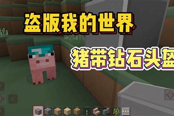 我的世界怎样盗版变正版_我的世界正版和盗版能联机吗