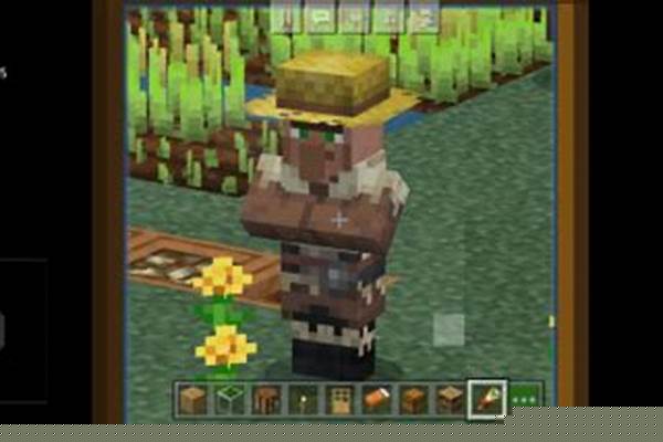 我的世界怎样让村民造铁傀儡_我的世界铁傀儡农场怎么做