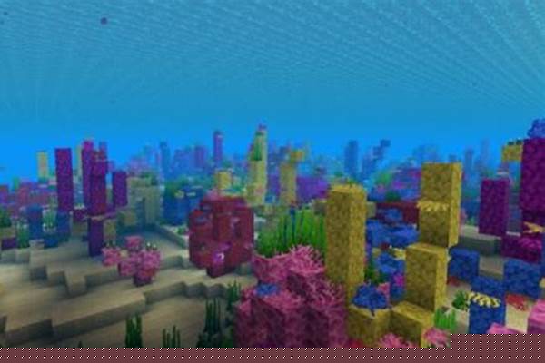 我的世界找到暖水海洋指令_英语翻译The sign on the