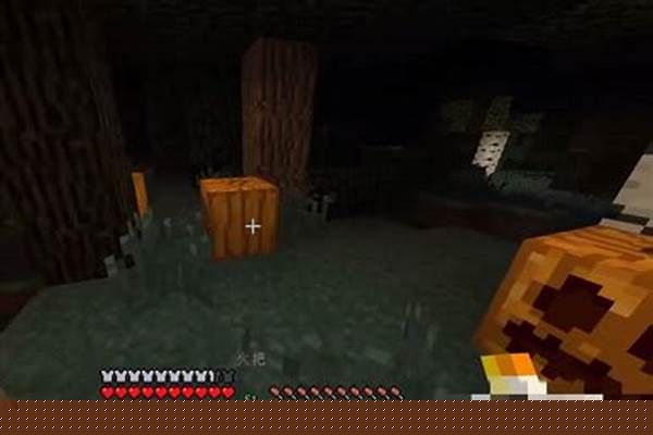 我的世界暮色怎么召唤_我的世界娜迦指令