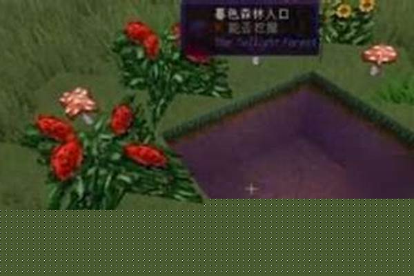 我的世界暮色门怎么建_我的世界如何做三种传送门