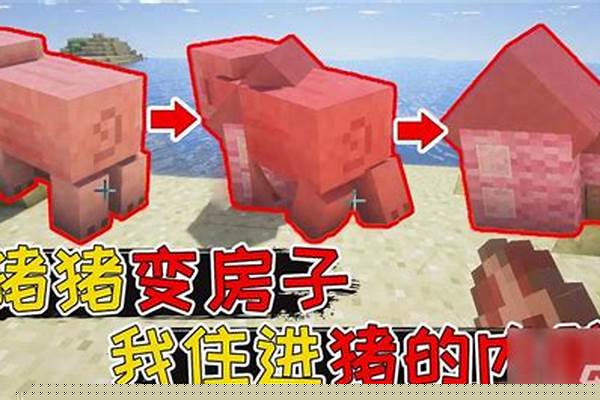我的世界有没有猪灵_我的世界刷经验猪灵塔怎么弄