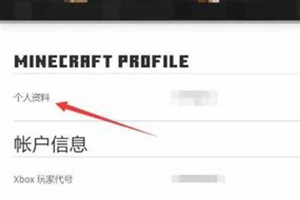 我的世界正版号怎么弄皮肤_我的世界时空小涵解说的皮肤是怎么换上的