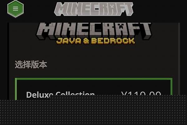 我的世界正版怎么登不进去