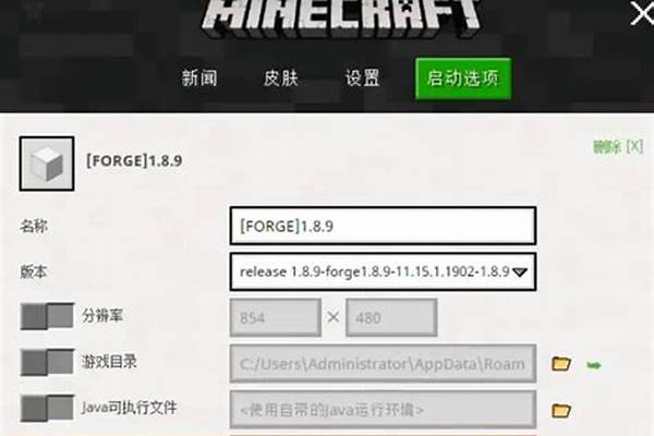 我的世界正版怎么设置密保_steam密码忘了(steam密码找回)