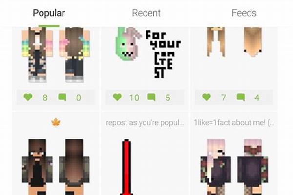 我的世界正版皮肤哪里找_我的世界 求一个正版皮肤的名字带有披风的