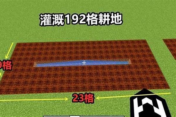 我的世界流动水可以生成鱼吗_汽车的防冻液能不能用纯净水代替