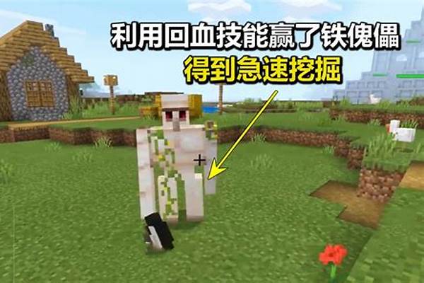 我的世界遗迹傀儡是什么