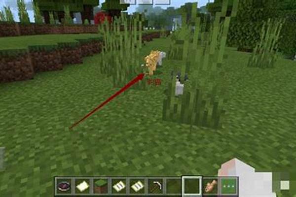 我的世界里面怎么才能进入末地_我的世界如何开膀胱寻找末地