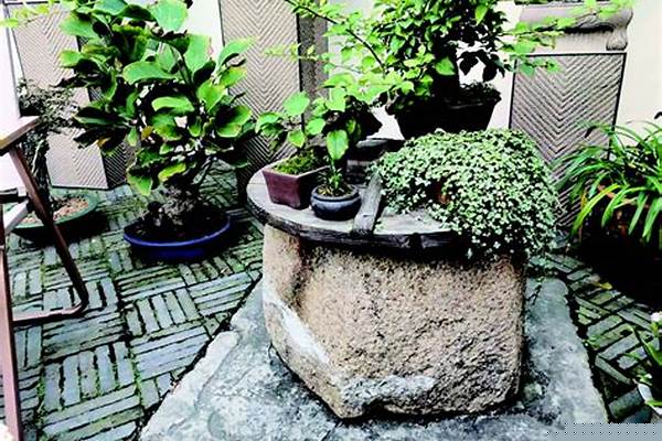 本文末段赞美了古井的美好品格.请仿照此段