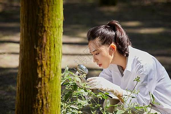 植物学家考察阿尔卑斯山脉的植被后,发现了