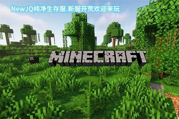 正版我的世界服务器怎么进_我的世界有正版帐户怎么进不了正版服务器