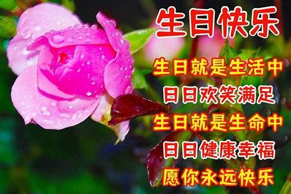 祝福朋友生日快乐的句子暖心