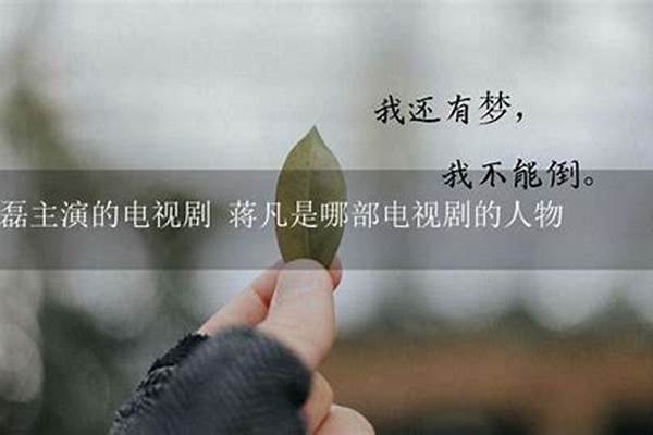蒋凡是哪部电视剧的人物