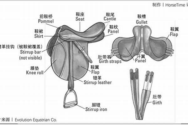 马鞍的意思